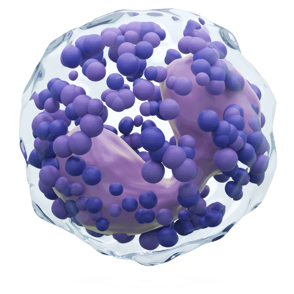 Stem cell diploma - 2