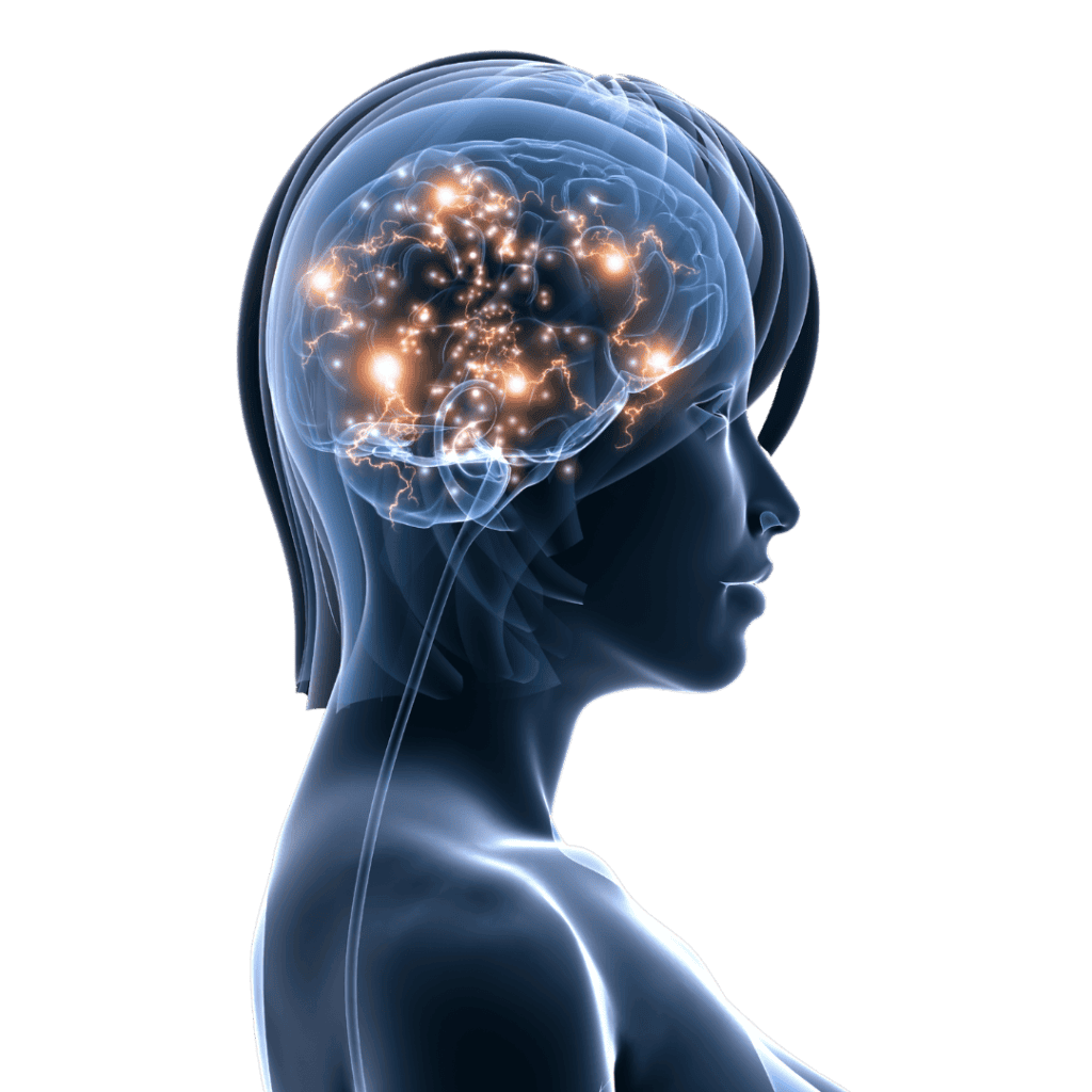 Regenerative medicine courses - 2