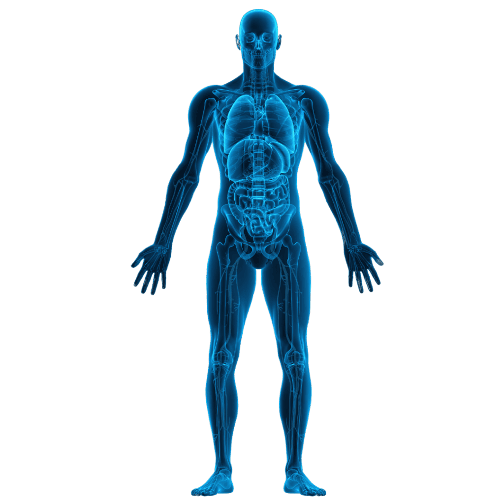 Exosomes, Secretome training courses - 2