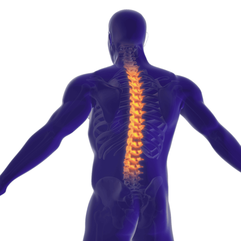 Stem cell courses - 2