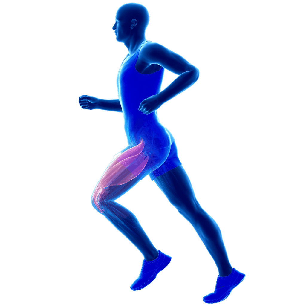 Stem Cell Certification Courses - 1