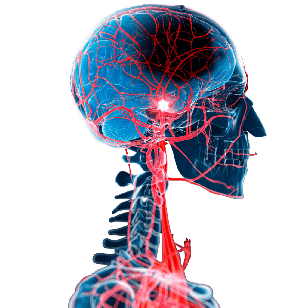 Stem Cell Research courses - 1